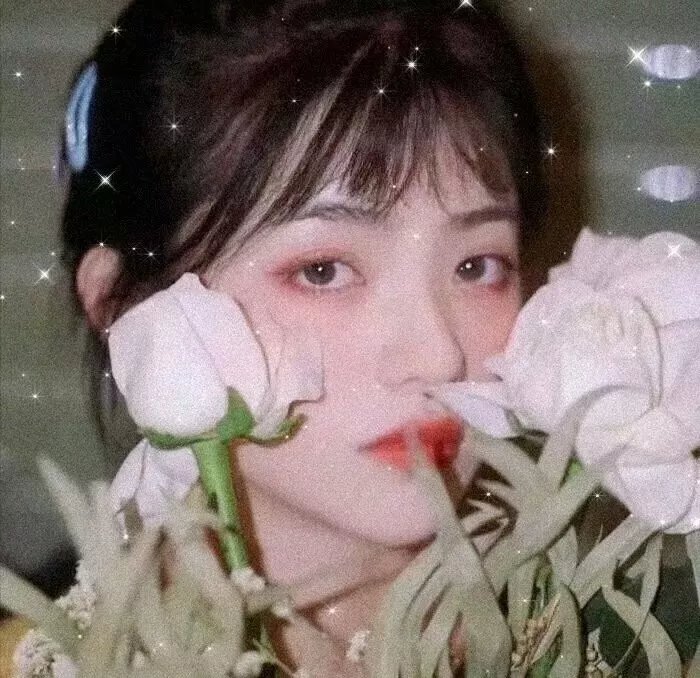 小麻雀的假期